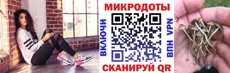OMG как войти  Семилуки  Псилоцибиновые грибы MAGIC MUSHROOMS  где купить наркоту 